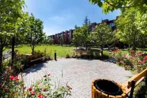 Row/Townhouse Coventry Hills homes