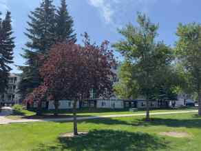 Apartment Dalhousie homes