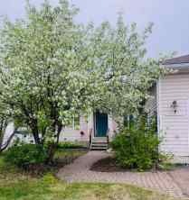 Detached High Level homes