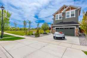 Detached Ravenswood homes