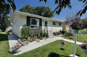 Detached Bassano homes
