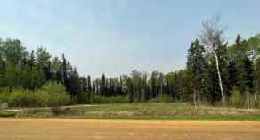 Residential Land Sandy Lake homes