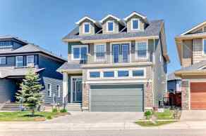 Detached Evanston Ridge homes