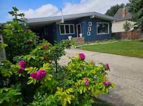 Detached Senator Buchanan homes