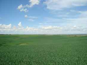 Just listed NONE homes for sale new SW,26,35,22,W$M Hi way 590 Highway  in NONE Elnora
