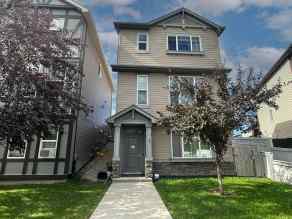 Detached New Brighton homes
