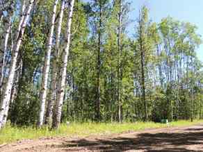 Just listed NONE homes for sale new Lot #20 Wapiti River SW-21-69-10-W6   in NONE Rural Grande Prairie No. 1, County of