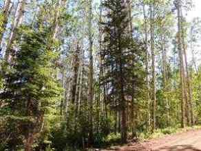 Just listed NONE homes for sale new Lot #10 Wapiti River SW-21-69-10-W6   in NONE Rural Grande Prairie No. 1, County of