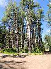 Just listed NONE homes for sale new Lot #7 Wapiti River SW-21-69-10-W6   in NONE Rural Grande Prairie No. 1, County of