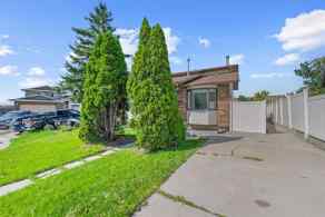 Just listed Whitehorn homes for sale new 60 Whitaker Close NE in Whitehorn Calgary