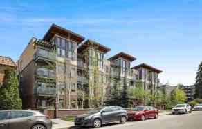 Apartment Lower Mount Royal homes