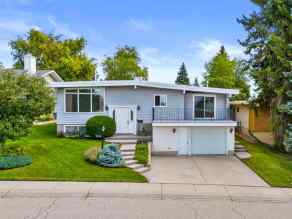 Detached Nose Hill Park homes