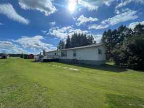 Detached High Prairie homes