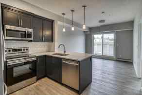 Just listed Harvest Hills homes for sale new Unit-215-300 Harvest Hills Place NE in Harvest Hills Calgary