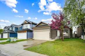 Detached Taradale homes