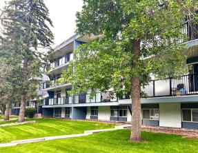 Apartment Windsor Park homes
