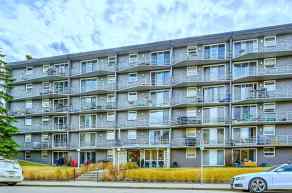 Apartment Lower Mount Royal homes