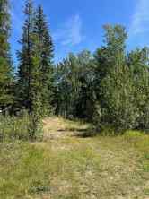 Residential Land Rural Grande Prairie No. 1, County of homes