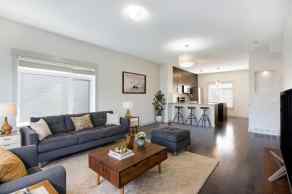 Row/Townhouse Skyview Ranch homes