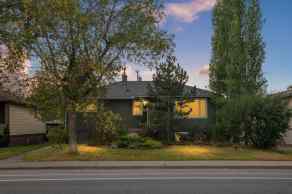 Detached Parkdale homes