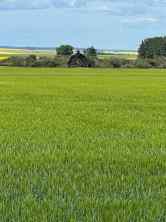 Agriculture Grande Prairie homes