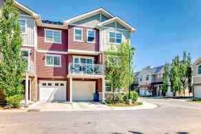 Row/Townhouse Skyview Ranch homes