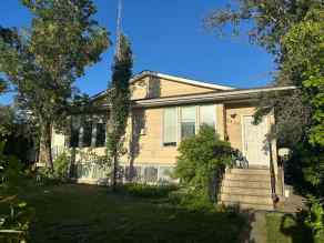 Detached Millican homes