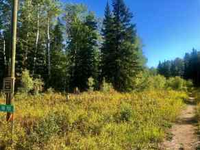 Residential Land Rural Mackenzie County homes