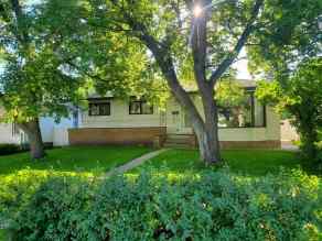 Detached Blackfoot Mobile Park homes