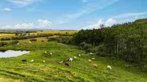 Residential Land Rural Foothills County homes