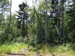 Residential Land Perch Lake homes