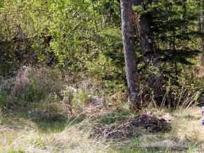 Residential Land Perch Lake homes