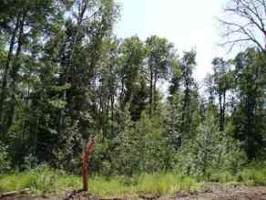 Residential Land Perch Lake homes