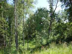 Residential Land Perch Lake homes