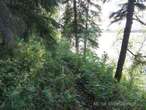Residential Land Perch Lake homes