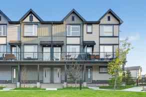 Row/Townhouse Evanston Ridge homes