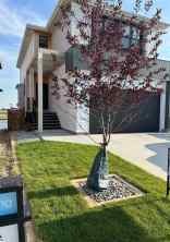 Detached Discovery homes
