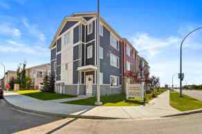 Row/Townhouse Skyview Ranch homes