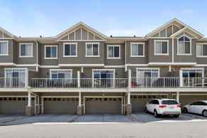 Row/Townhouse Evanston Ridge homes