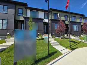 Row/Townhouse Greystone homes