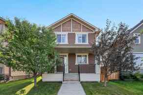 Detached Ravenswood homes