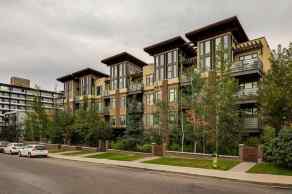 Apartment Lower Mount Royal homes