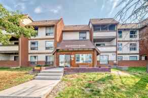 Apartment Forest Lawn homes
