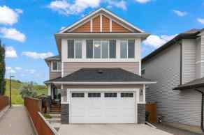 Detached Chaparral Valley homes