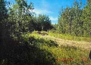 Commercial Land Sangudo homes
