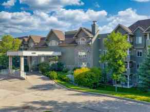 Apartment  South Real Estate
