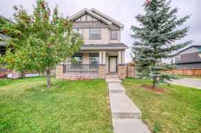 Detached Panorama Hills homes