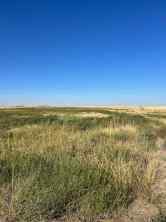 Residential Land Dunmore homes