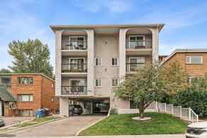 Apartment Lower Mount Royal homes