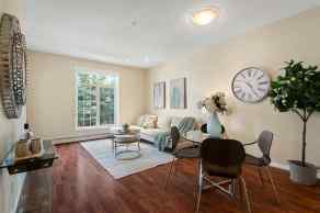 Apartment Dalhousie homes